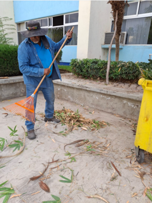 Corte de césped con maquinaria especializada